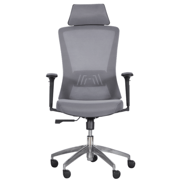 Ергономичен стол Carmen 7542 - сив