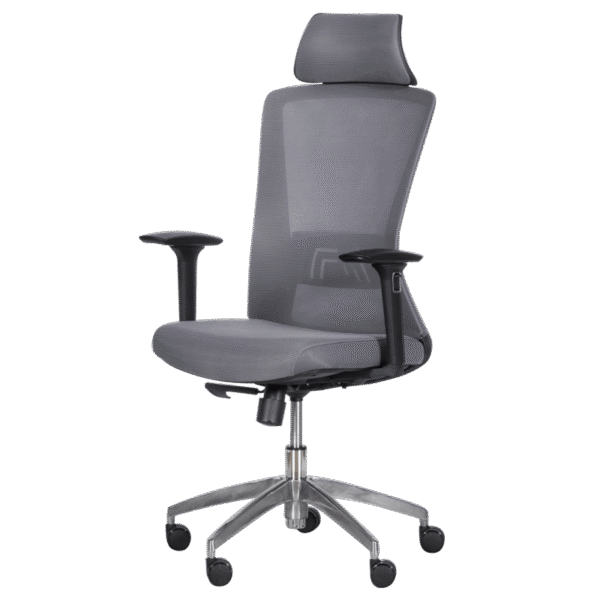 Ергономичен стол Carmen 7542 - сив