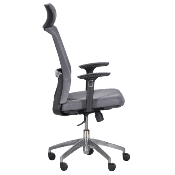 Ергономичен стол Carmen 7542 - сив