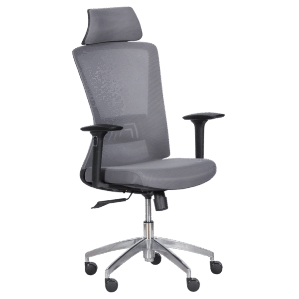 Ергономичен стол Carmen 7542 - сив