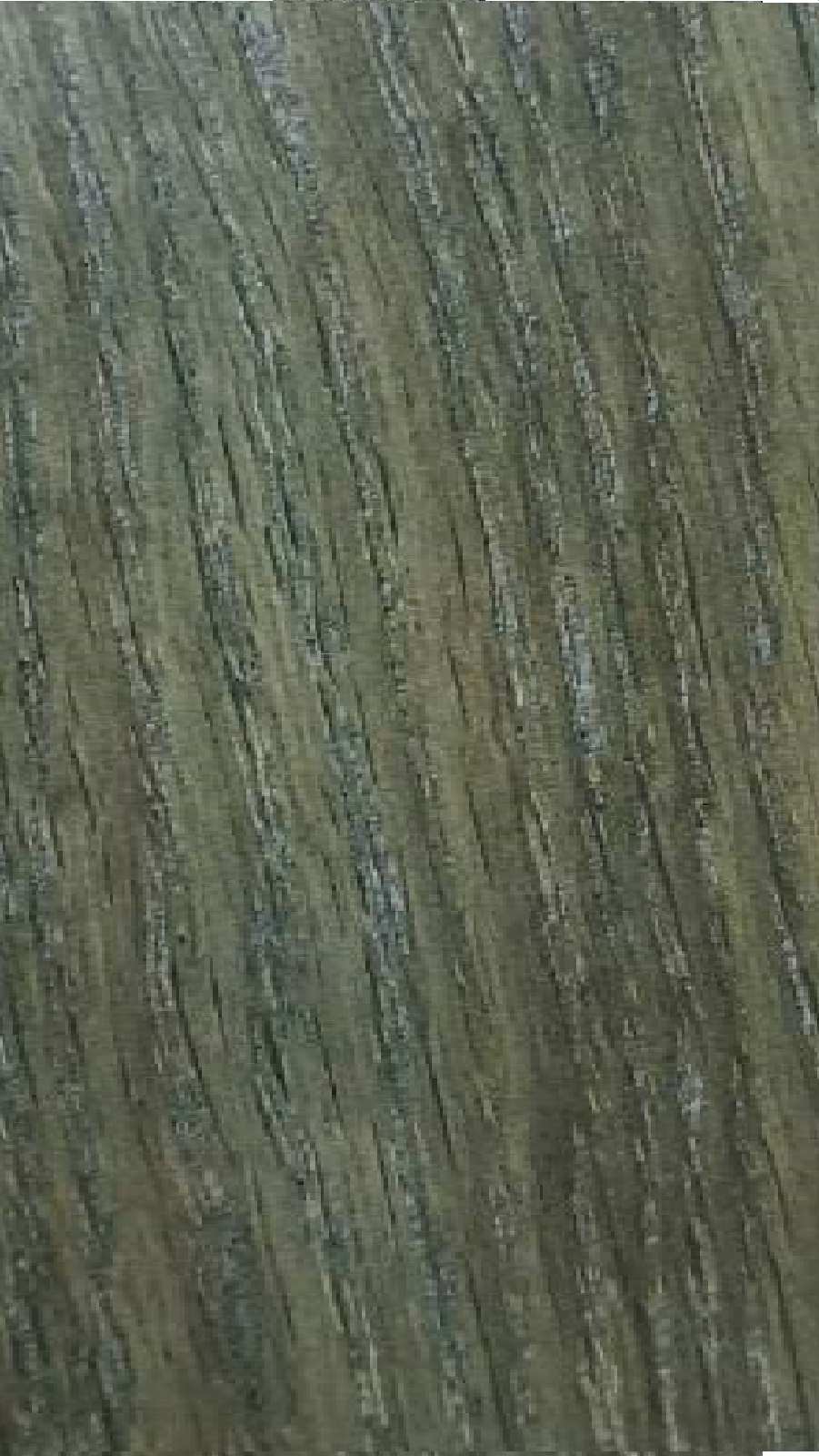 плот зелен 13