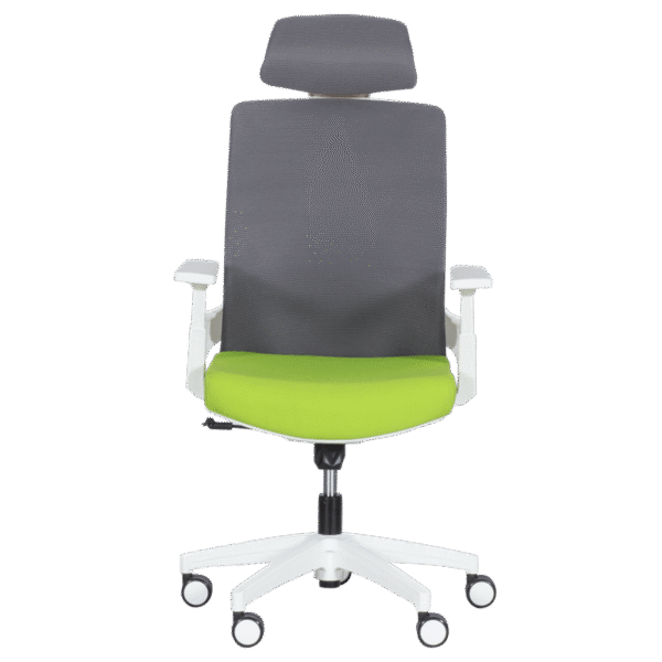 Президентски офис стол Carmen 7546 - зелен-сив