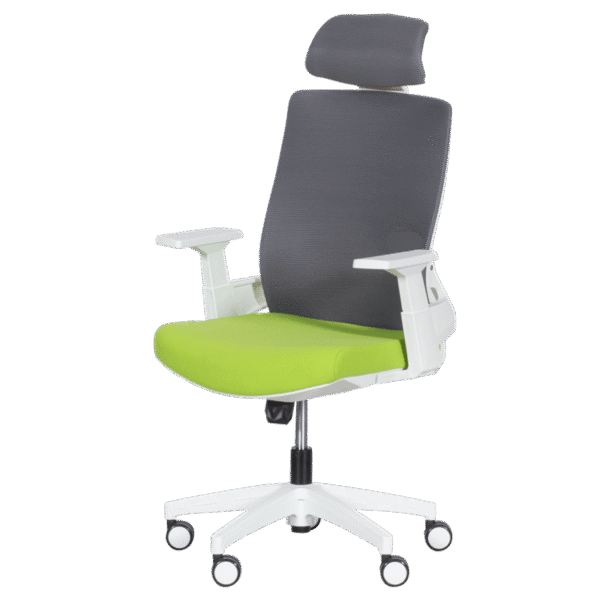 Президентски офис стол Carmen 7546 - зелен-сив