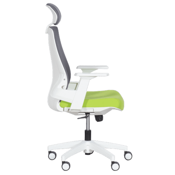 Президентски офис стол Carmen 7546 - зелен-сив