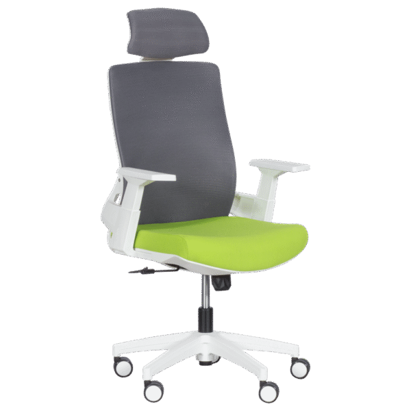 Президентски офис стол Carmen 7546 - зелен-сив